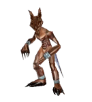 Imp do Priston Tale
